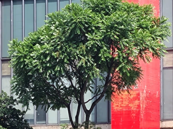 10x Zoom