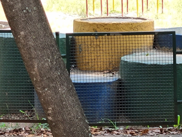 10x Zoom