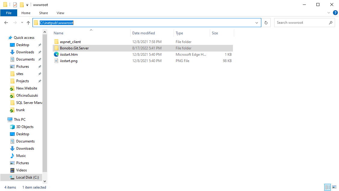Application copied to wwwroot